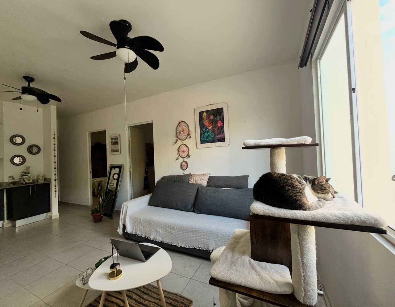 Peaceful Staying in Playa del Carmen, Cozy Room and Pool