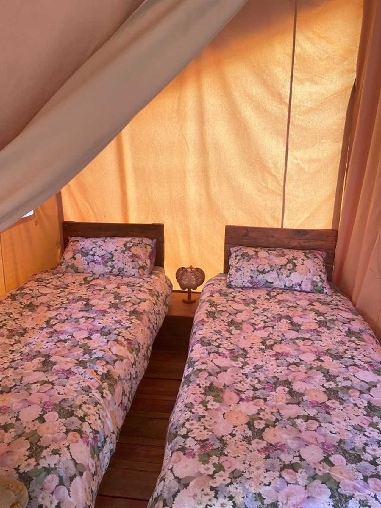 Olive Groove @ Naturally Cool Glamping
