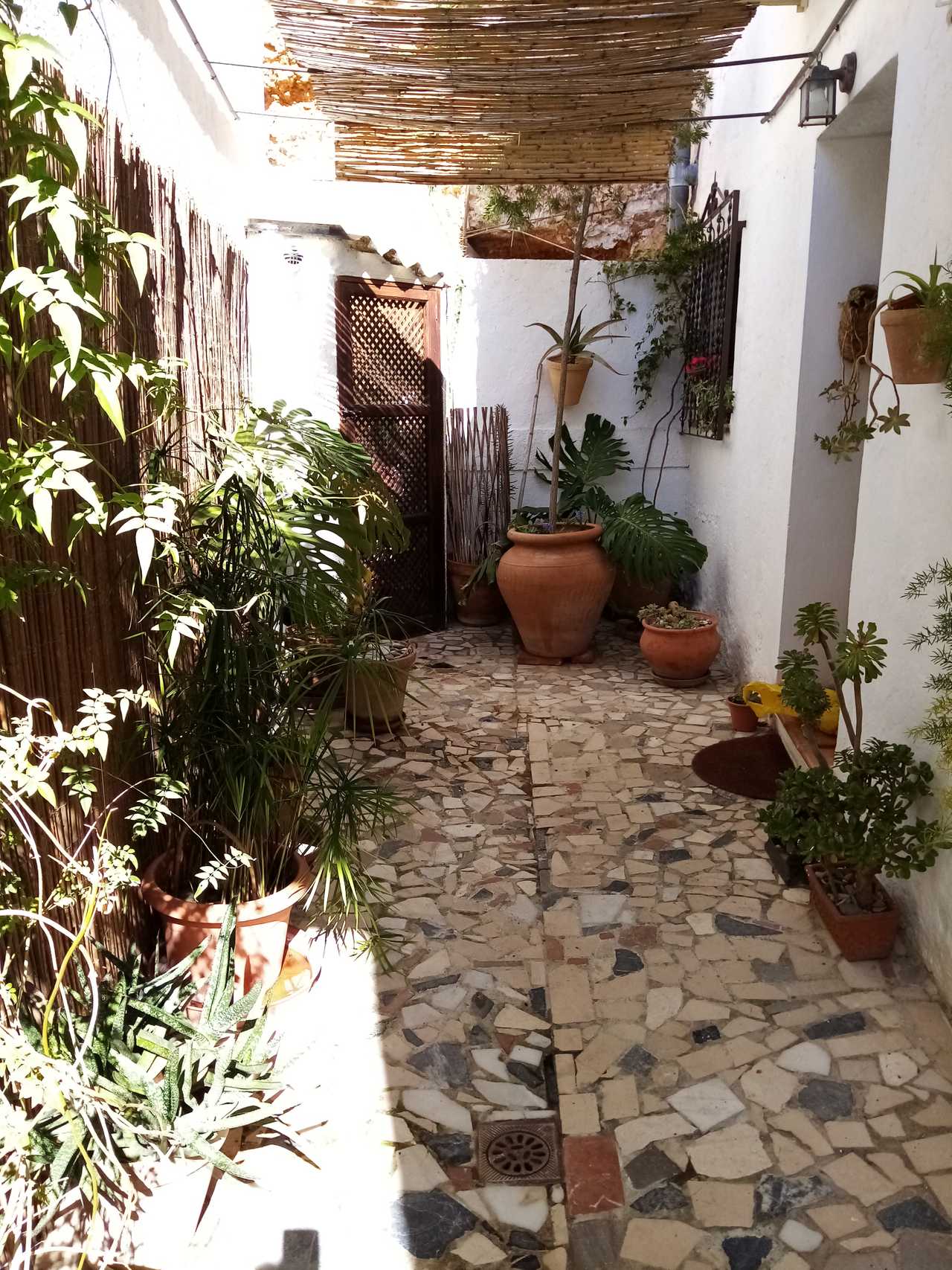 Casa Ensalada
