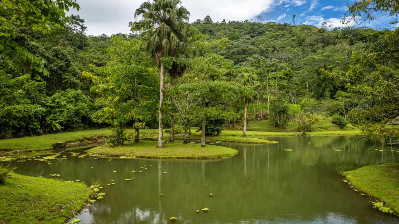 Lands in love hotel & forest resort 