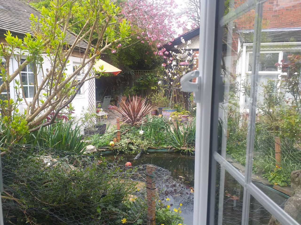 THE LITTLE HOUSE IN HULL 
