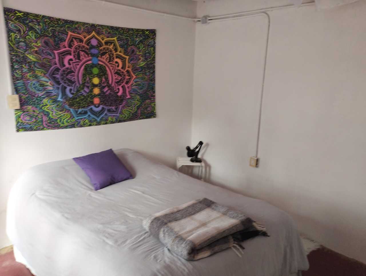 🌿 Worldbridger Sanctuary | Chakra Rooms, Vegetarian Living & Meditation