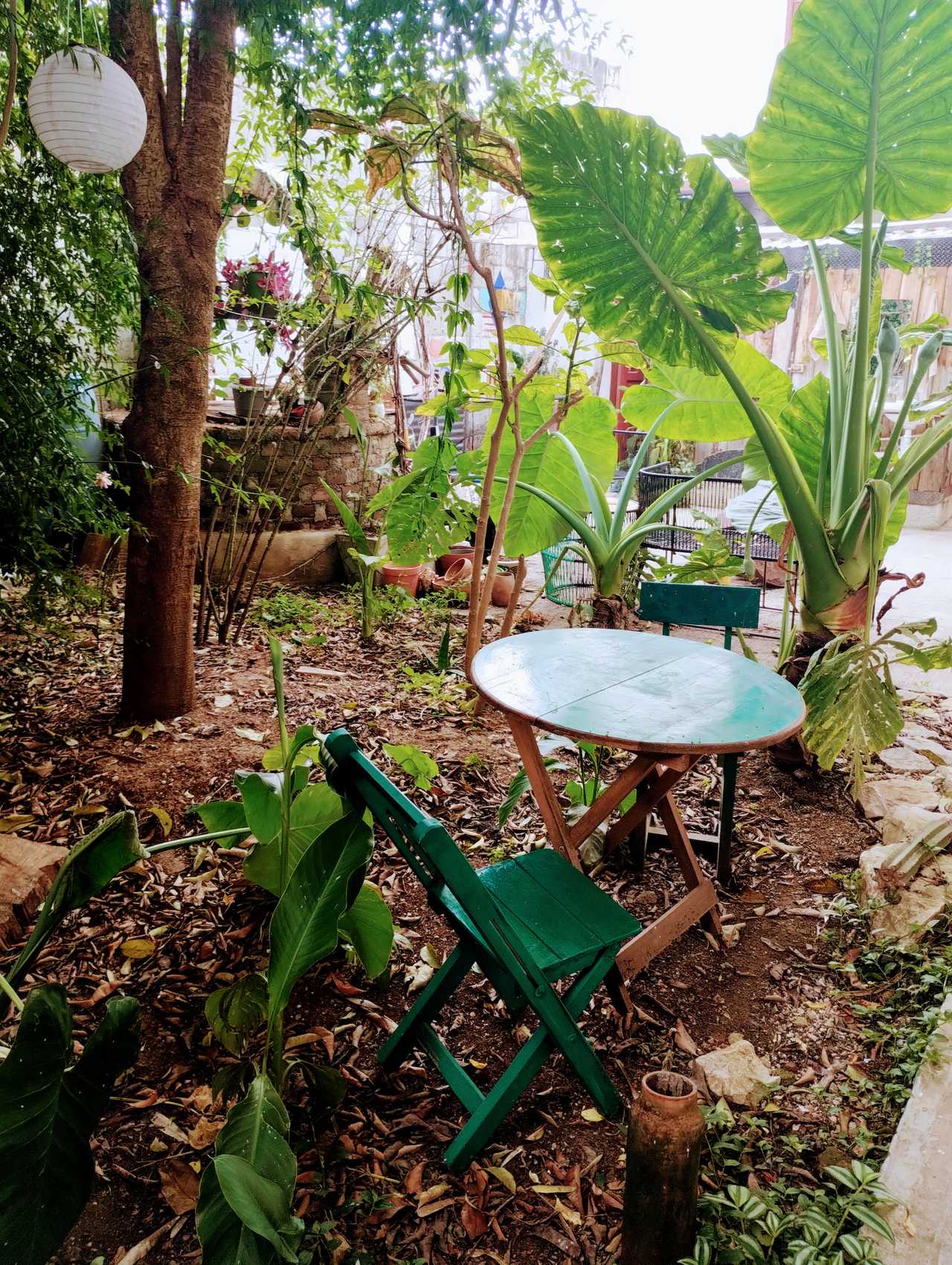 🌿 Worldbridger Sanctuary | Chakra Rooms, Vegetarian Living & Meditation