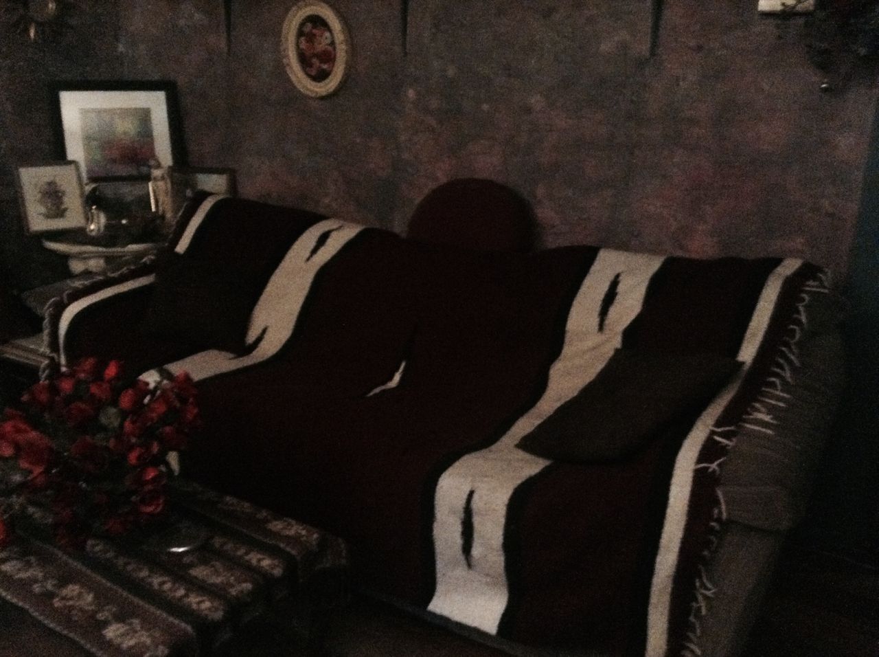 Cozy Stay in a Vintage VW Van, Available Now for Vegan BnB Stays!