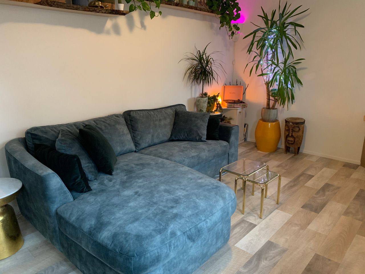 Tropical Jungle (Private Room with curtain)