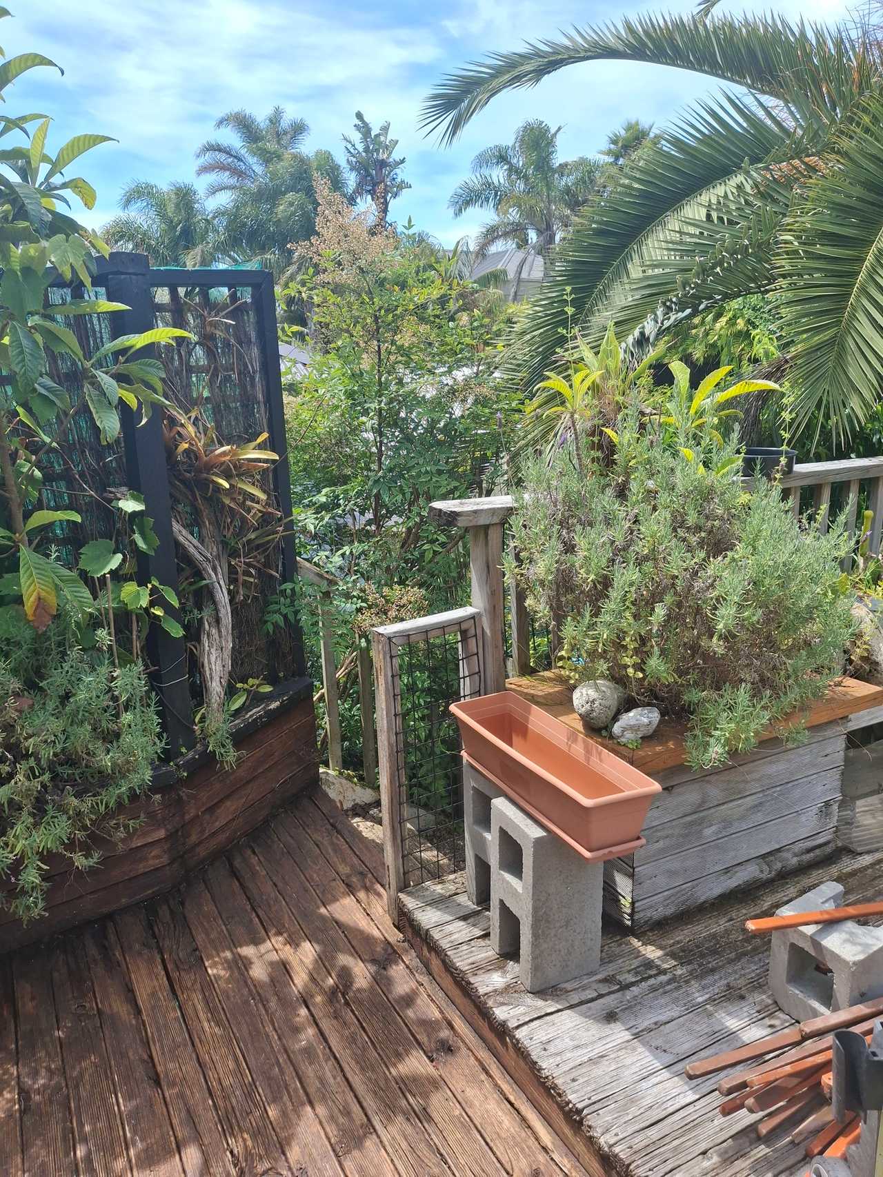 Ensuite Room in the heart of Mt Eden 