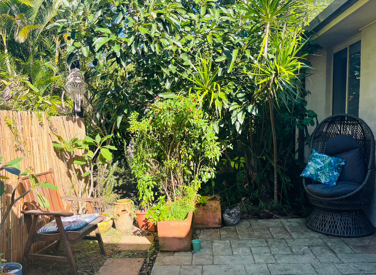 Peaceful Vegetarian Beach House