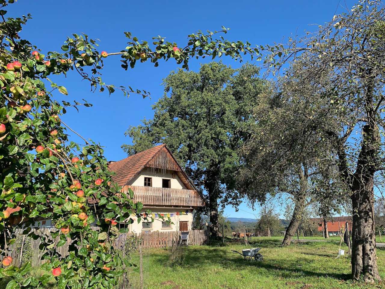 Varm - the vegan farm - a kind of sanctuary for animals and humans