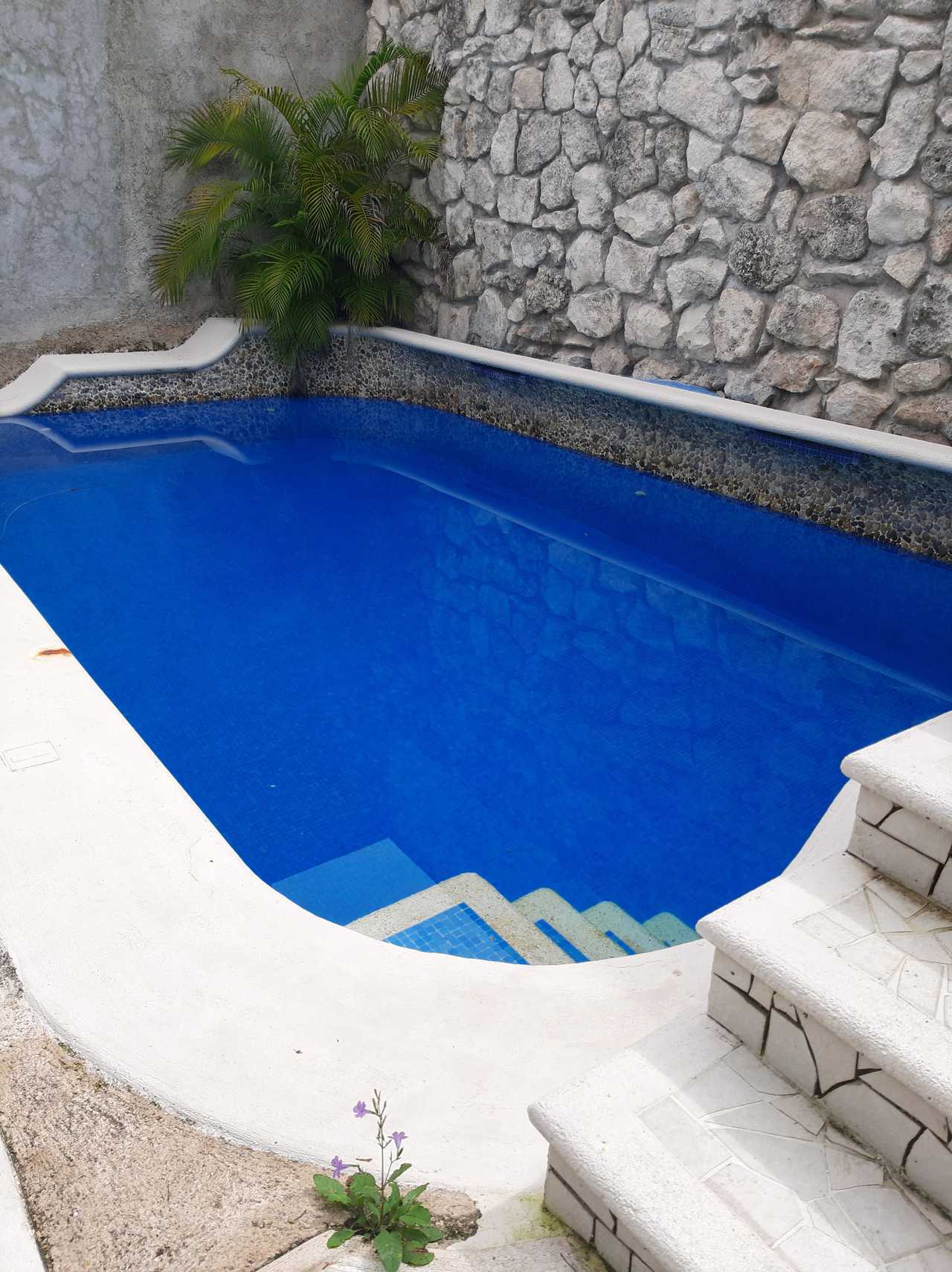 PURPLE LOTUS COZUMEL Fibre optics WIFI, baranda, pool, walking distance to town