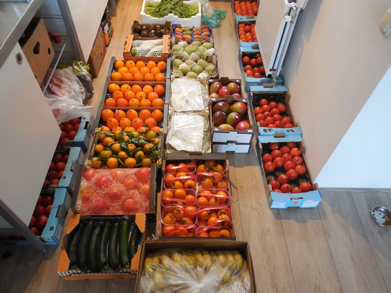 High carb vegan household with two spare rooms near Rotterdam, Netherlands