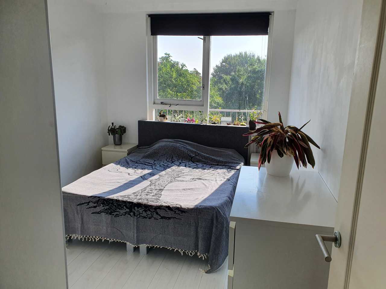 Beautiful vegan home in amsterdam