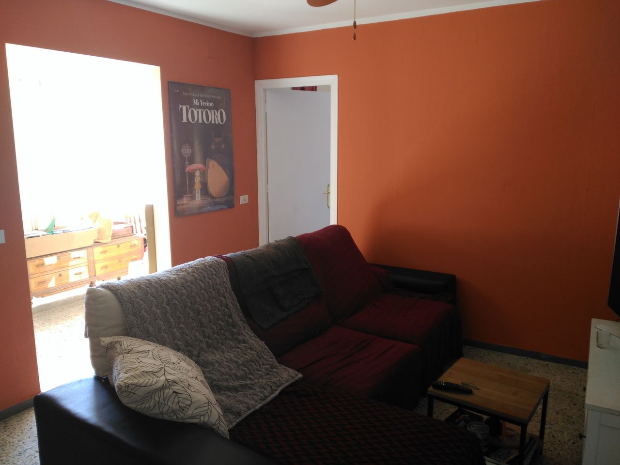 Comfortable Bedtype Couch in Living Room
