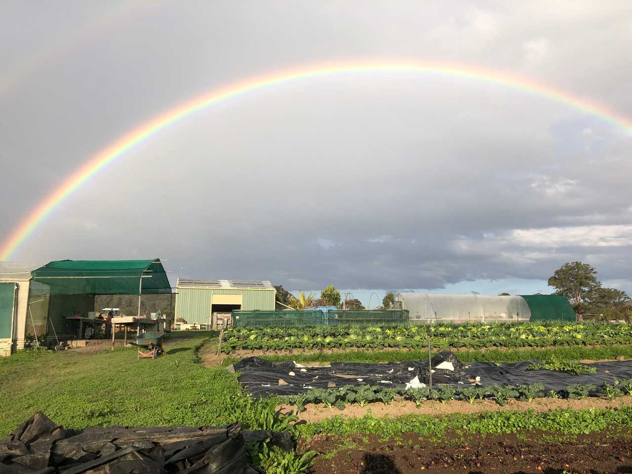 Organic Veggie Farm Camping