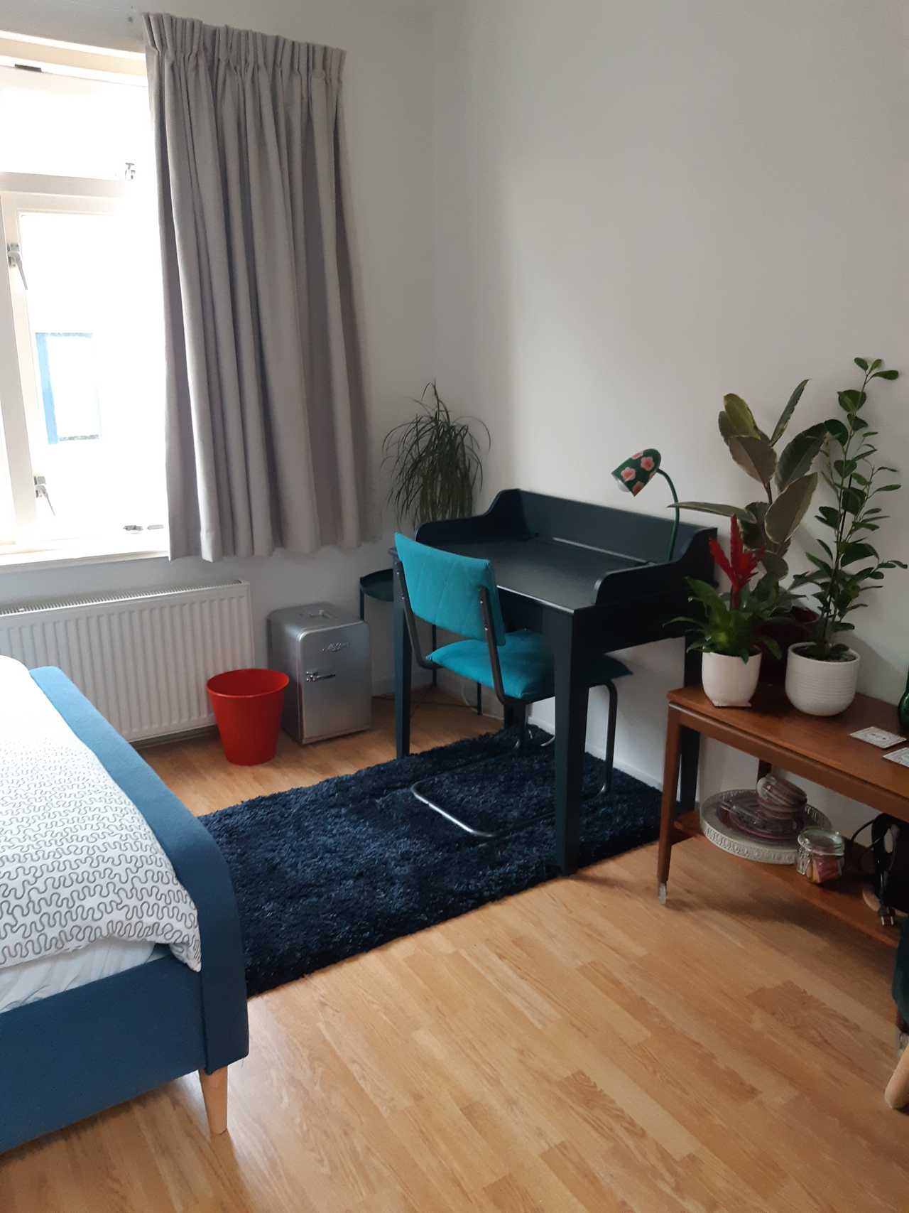 Lovely furnished city room in quiet & clean duplex in very vegan friendly town