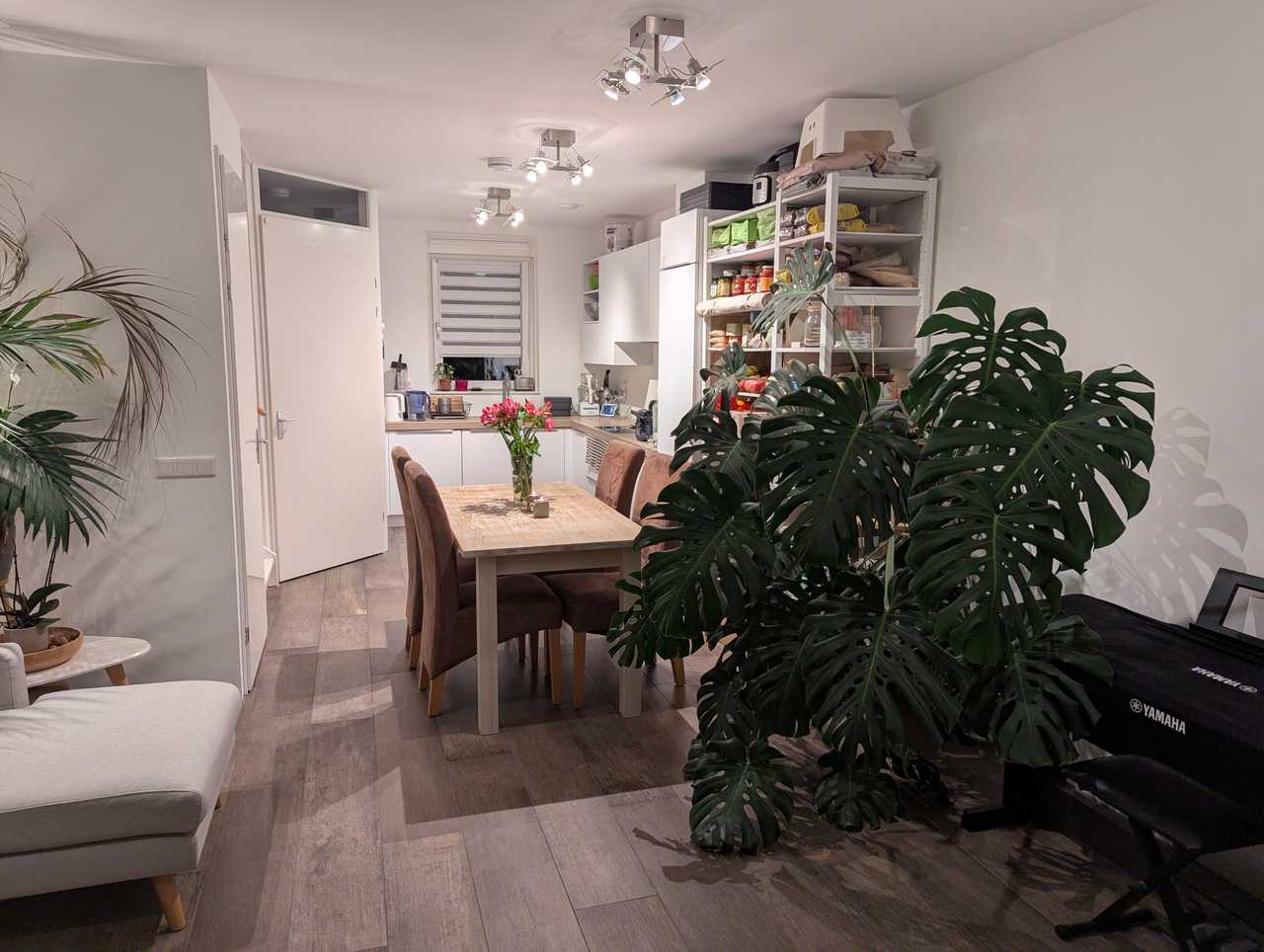 Comfy spacious whole house close to the train. Long term stayer, January-March!
