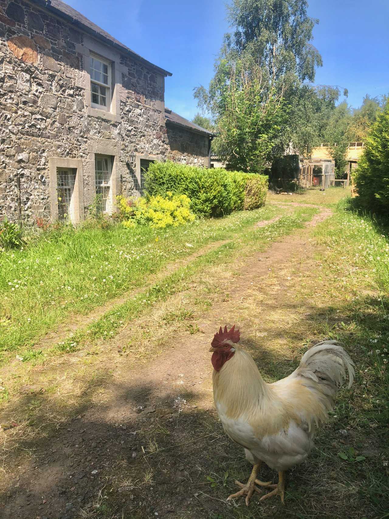 The Neuk o' the Mill: vegan B&B stone cottage