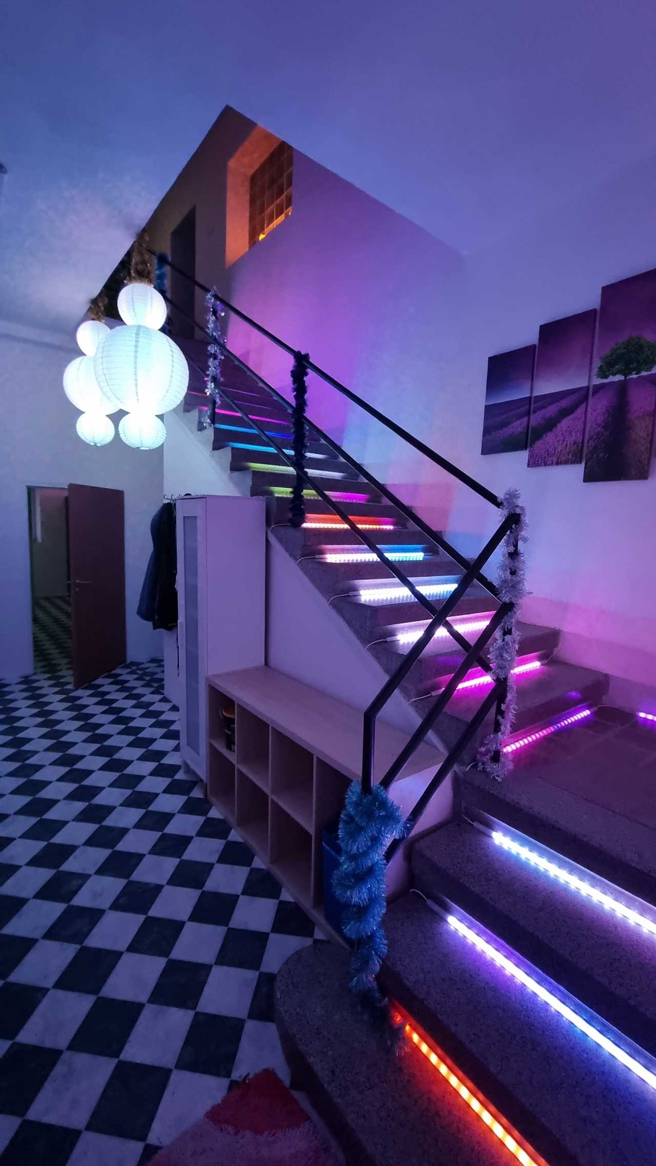 Bohemia Wonderland Vegan Guest House