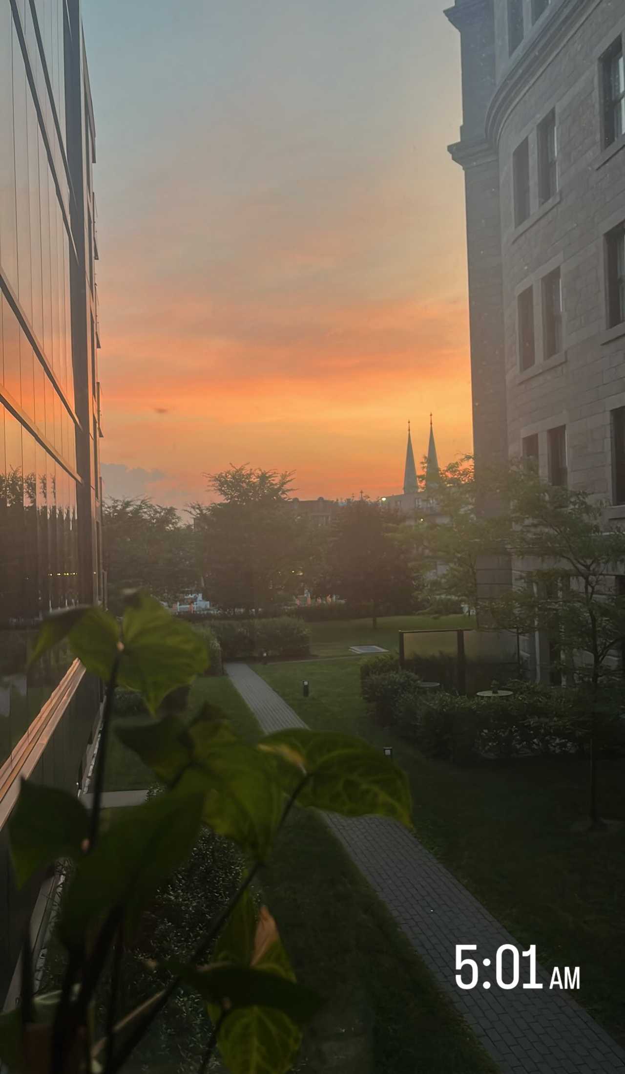 Big apartment in Little Italy (Jean-Talon)