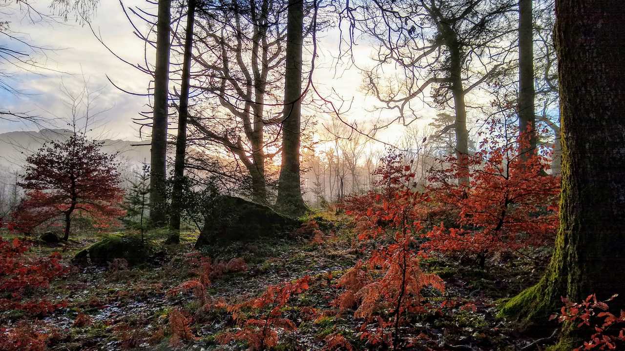 Stay in the heart of the lake district. England's latest World Heritage Site.