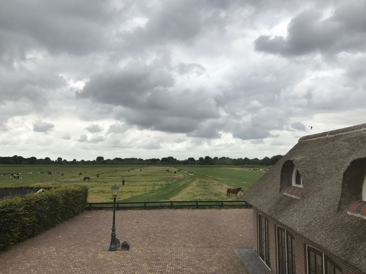 Cozy and Peaceful Thatched Roof Guesthouse of 1880's Farmhouse near Amsterdam!