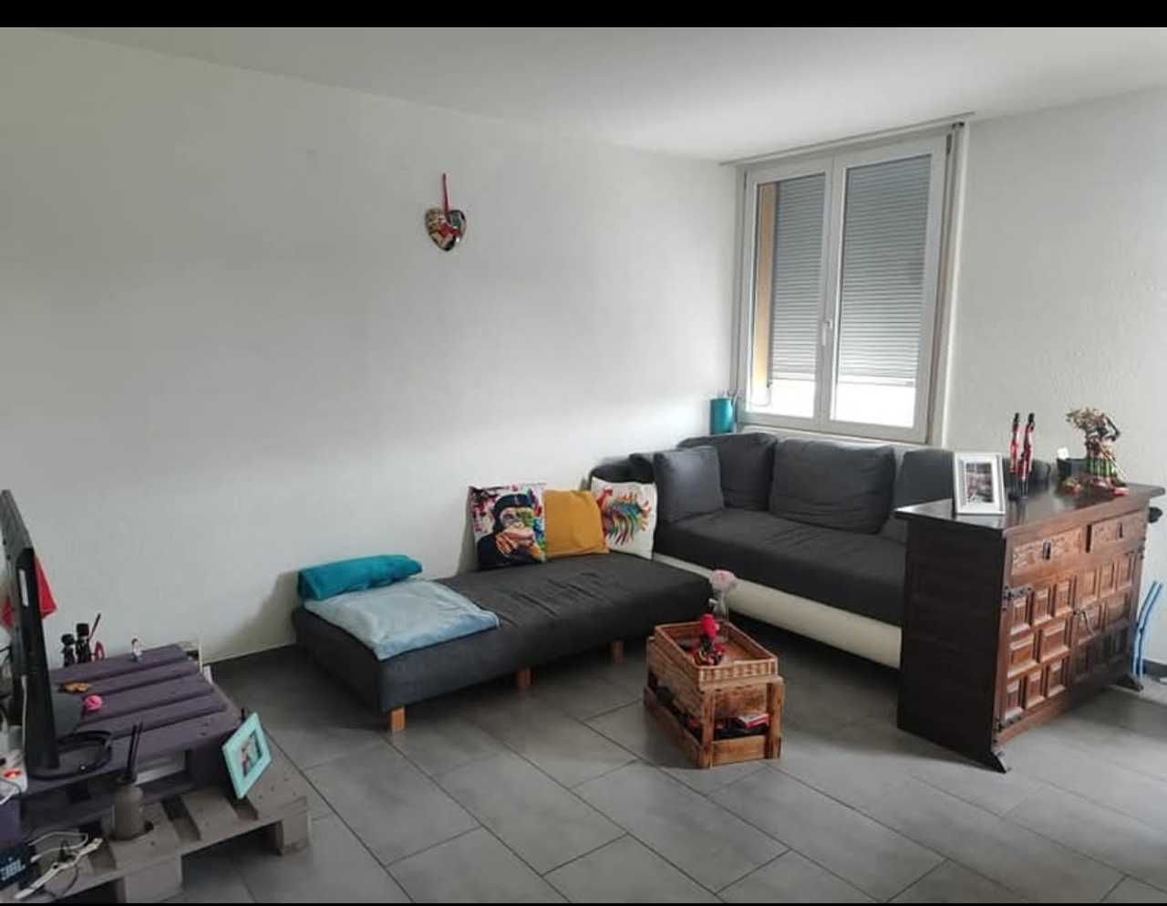 Cozy vegan-friendly apartment, steps from forest & city, perfect for relax!