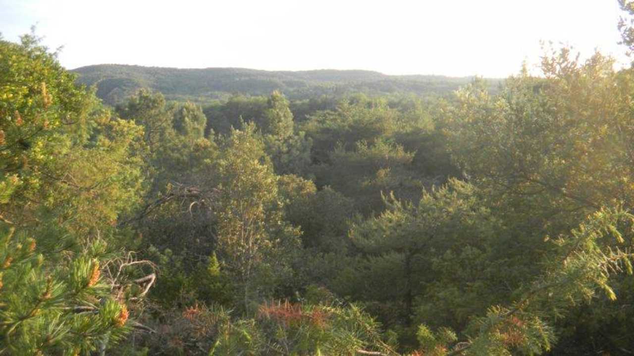 Vegan Eco-place in a beautiful forest