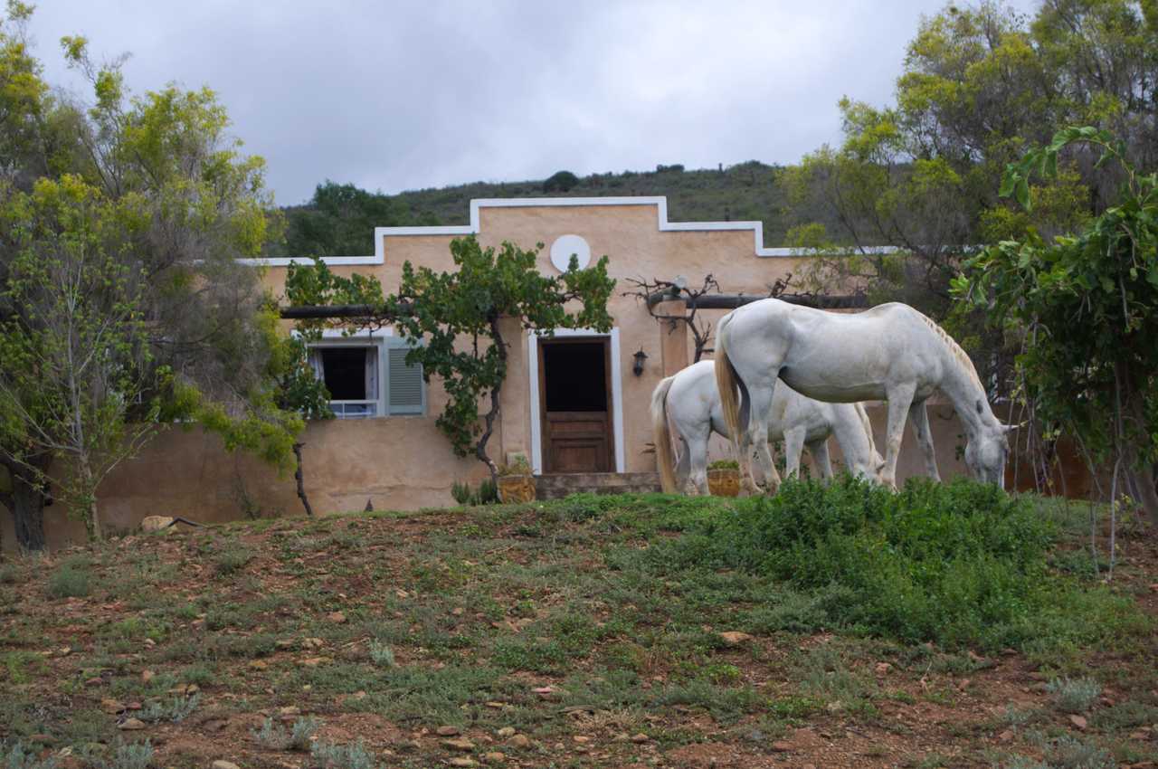 The Top House @ Ricky's Drift Vegan Farm and Animal Sanctuary