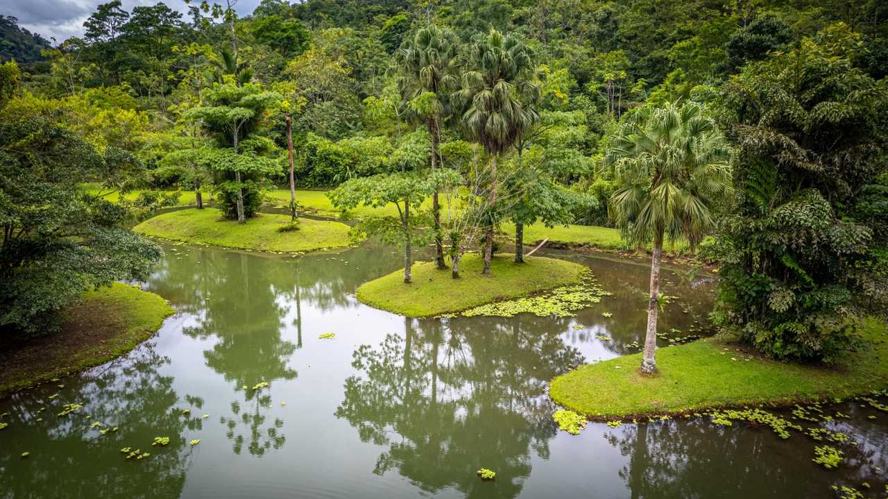 Lands in love hotel & forest resort 