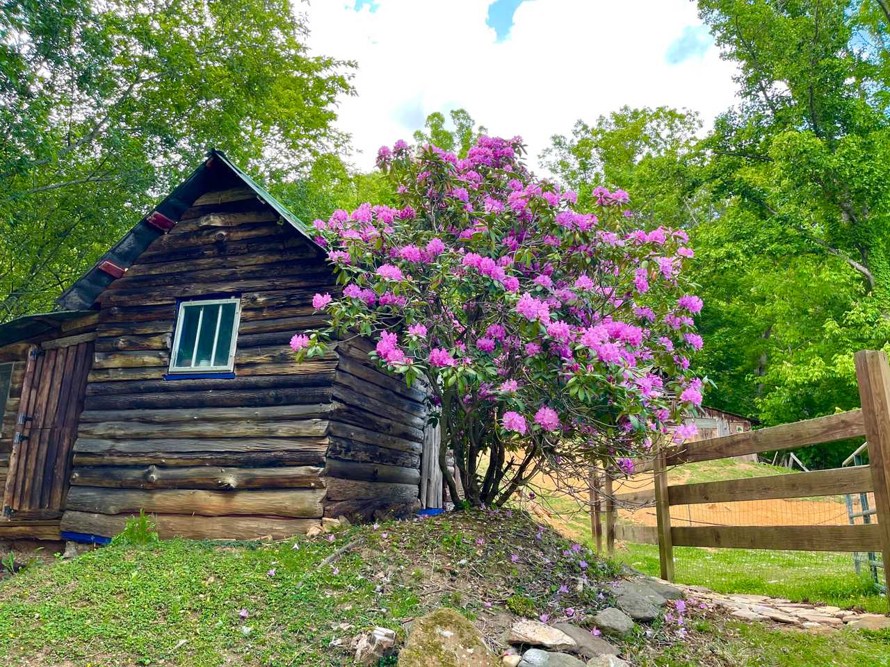 Cozy Cabin: Peaceful Haven in the Heart of Nature at the Blue Heart Sanctuary