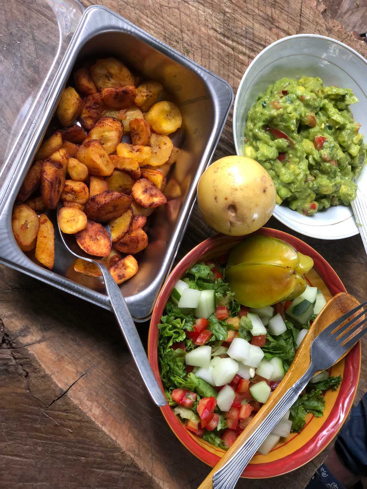 Vegan Garden Apartments in the green suburbs of Accra, Ghana & Airport Pickup! 