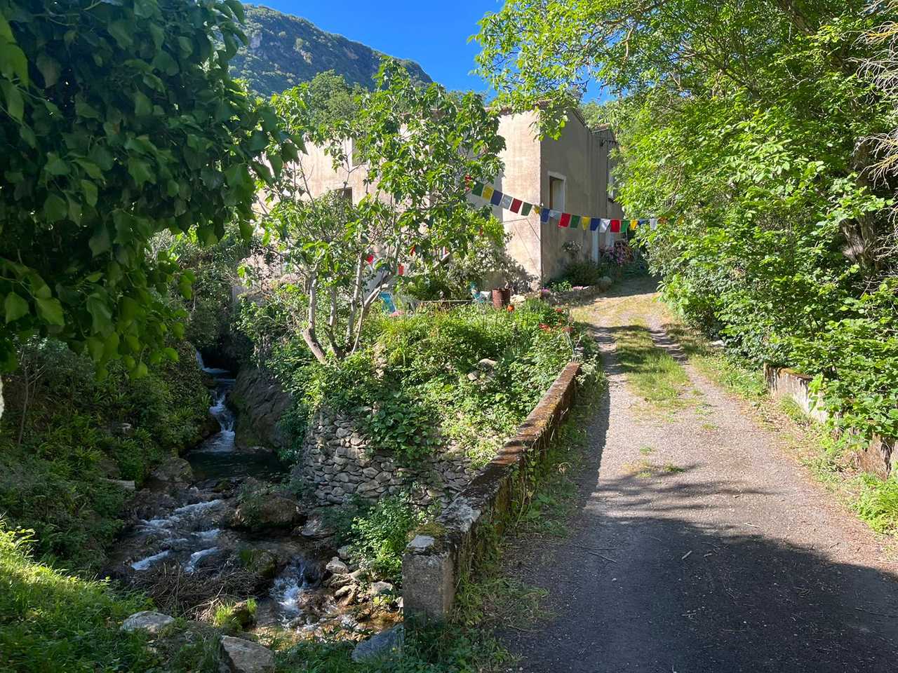 Back to Nature at the Mill!