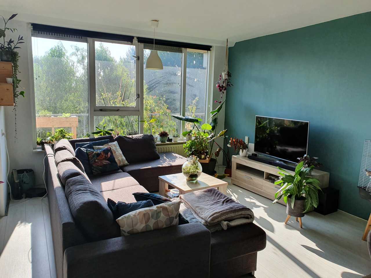 Beautiful vegan home in amsterdam