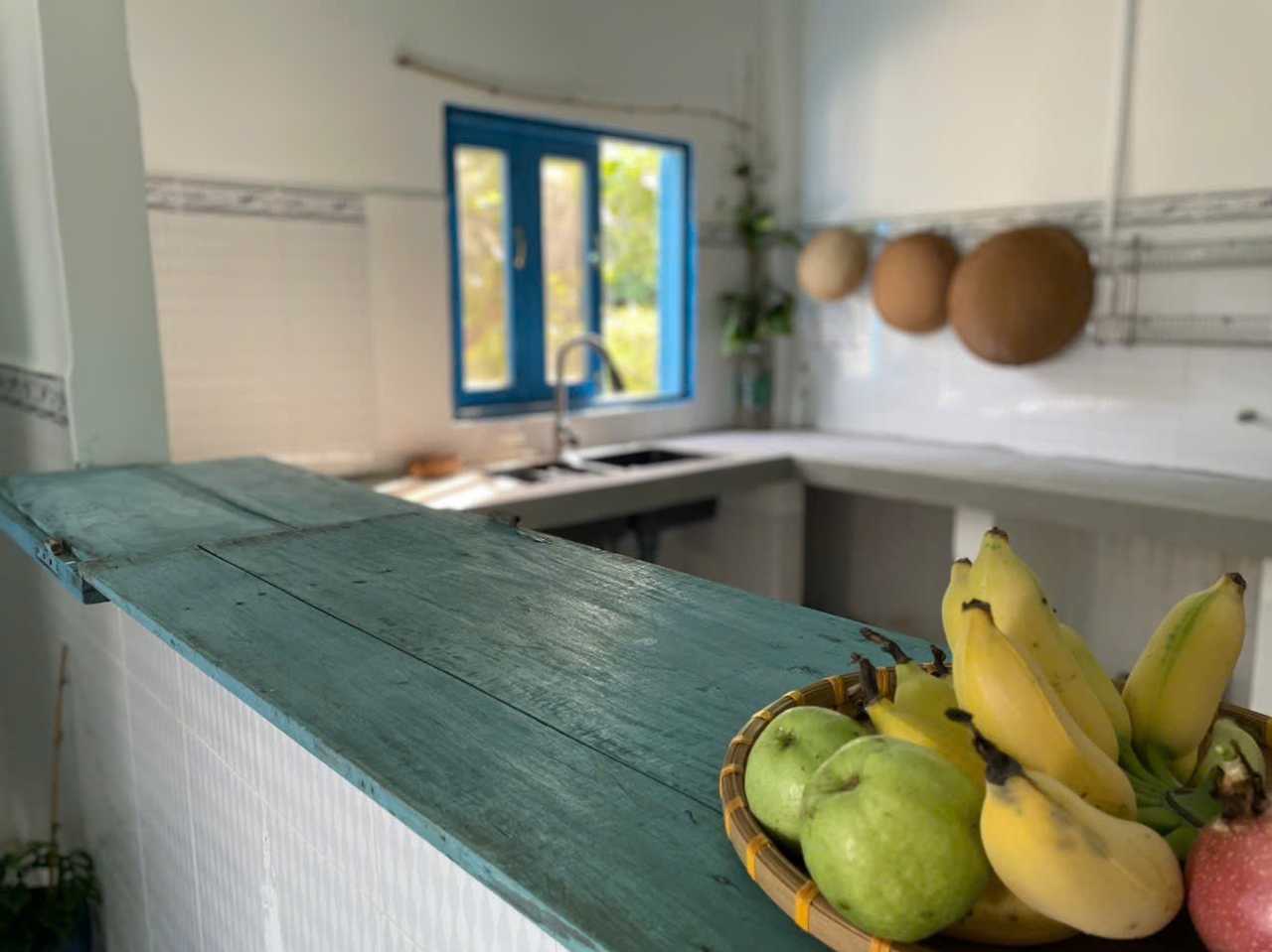 VEGAN MICO HOME