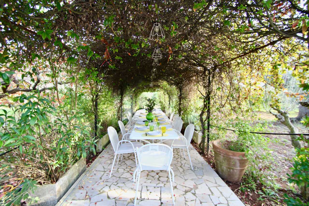 Luxury villa in midst of an ancient olive grove, ideal for families