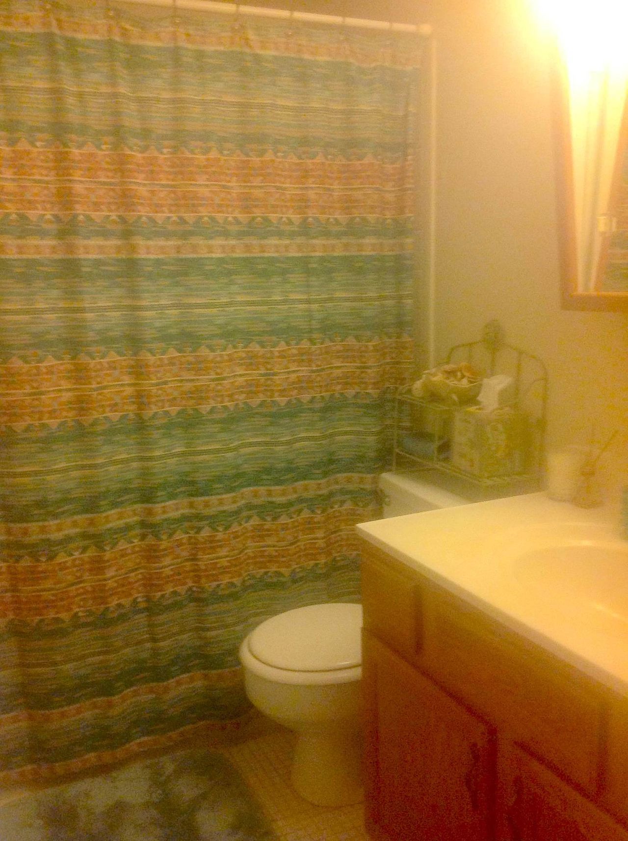 Garden apt with private guest bedroom + full bathroom in large apt.