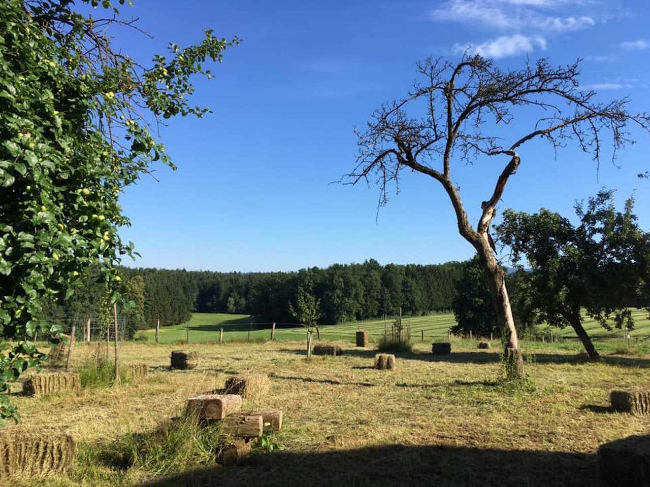 Varm - the vegan farm - a kind of sanctuary for animals and humans