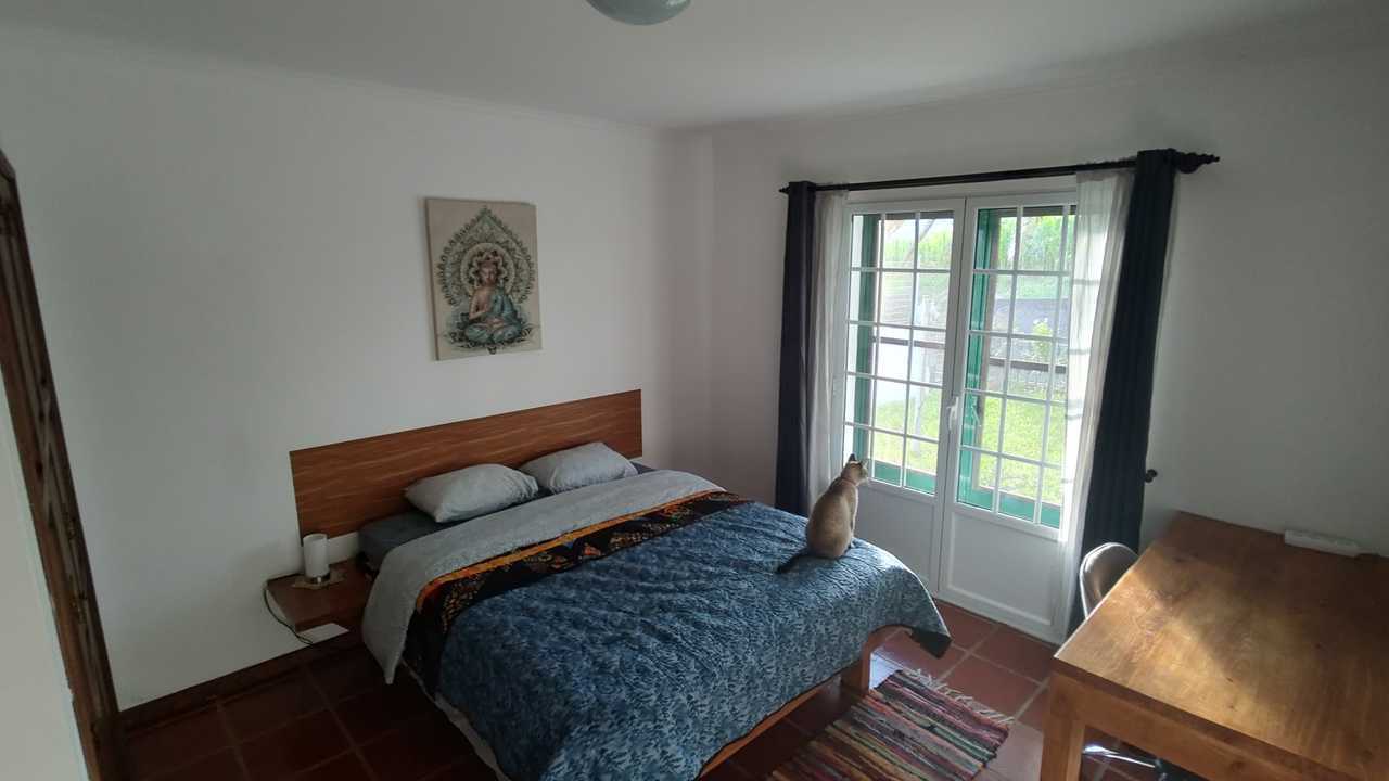 Private Room in a vegan guest house with cats