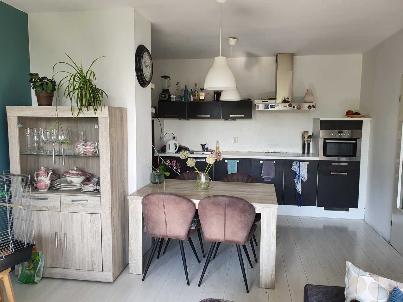 Beautiful vegan home in amsterdam