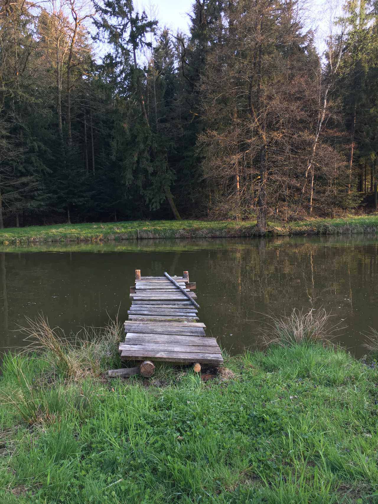 Varm - the vegan farm - a kind of sanctuary for animals and humans