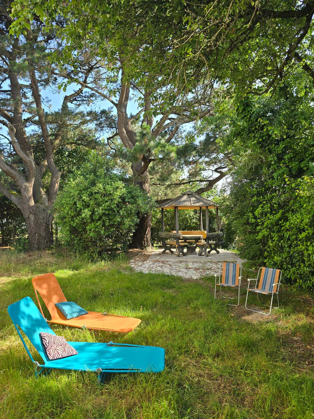 Cosy seaside apartment Vegan breakfast Private garden near sandy beach - dog ok
