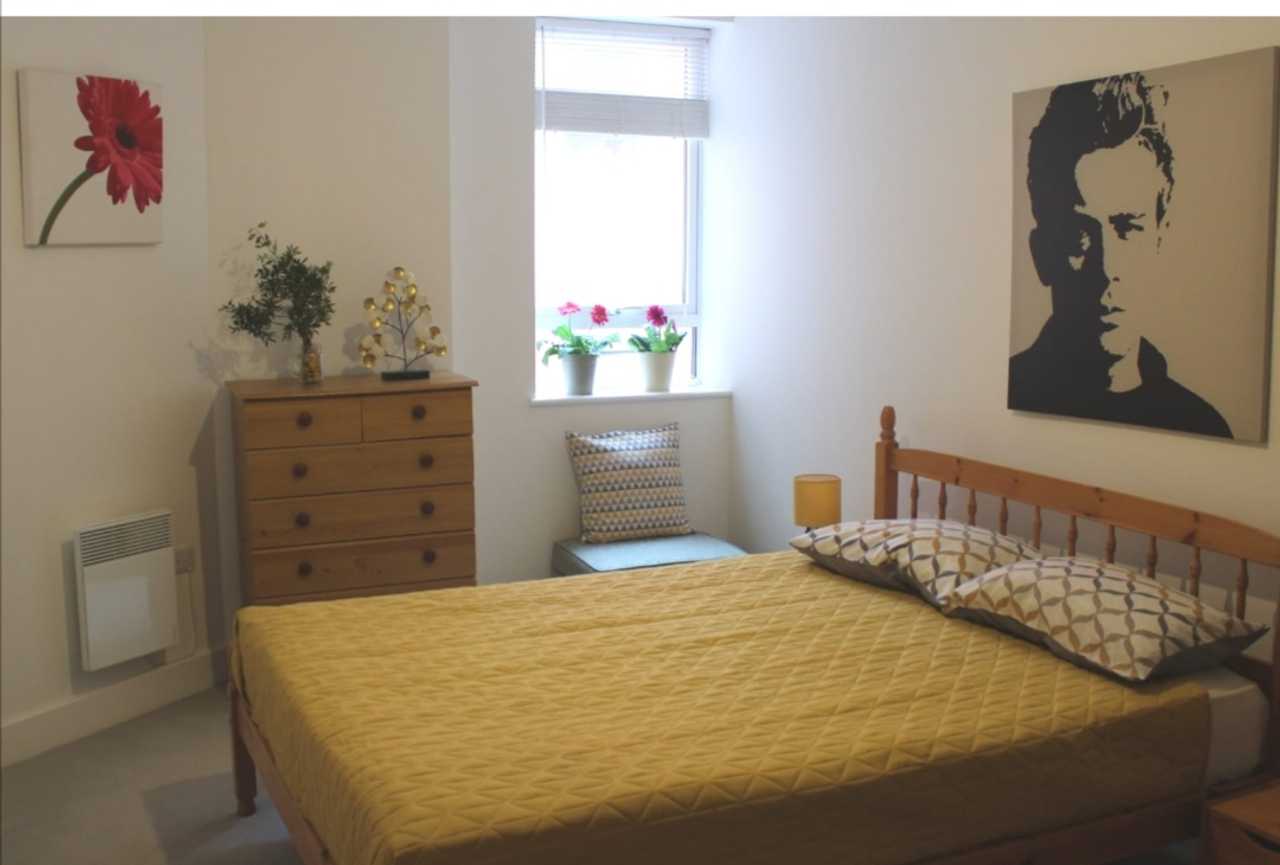 Lovely King bedroom + Private Bathroom 5 minutes from the city centre!