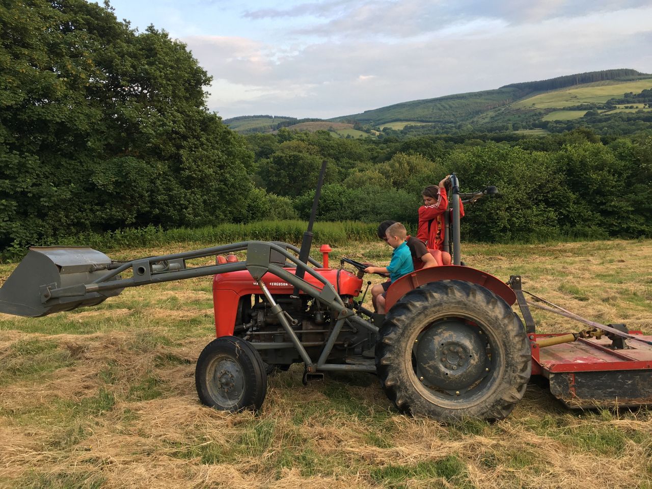 Robin's Realm - the affordable Welsh veggie countryside retreat