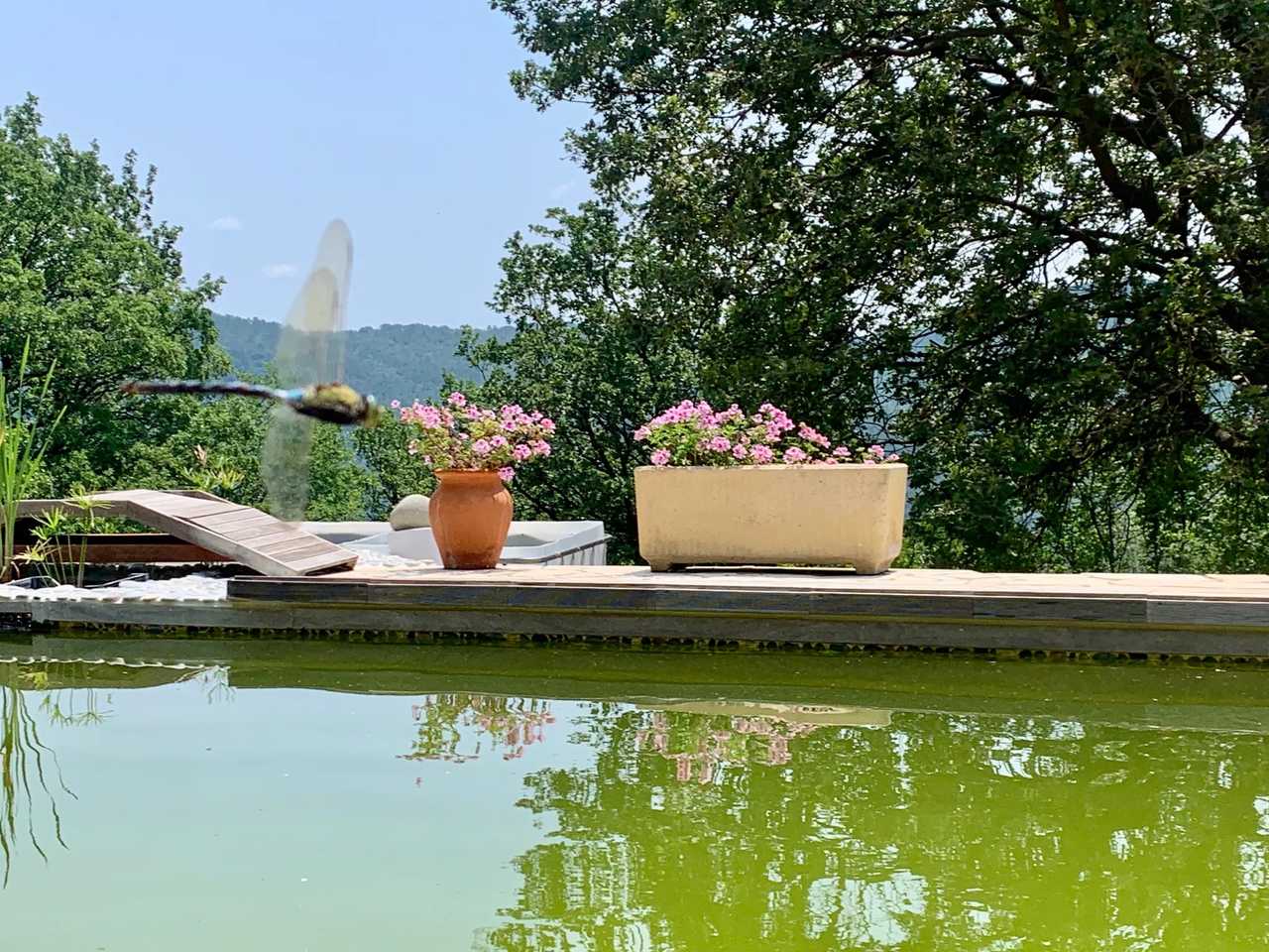 Abriecosy - a heaven of peace in the forest of Bargemon, Provence