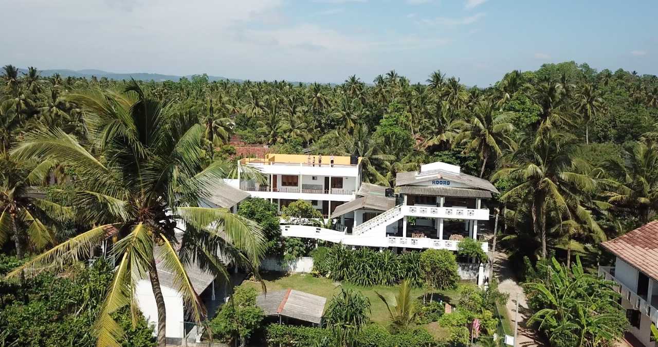 Green Peace Inn - Yoga | Health | Retreats