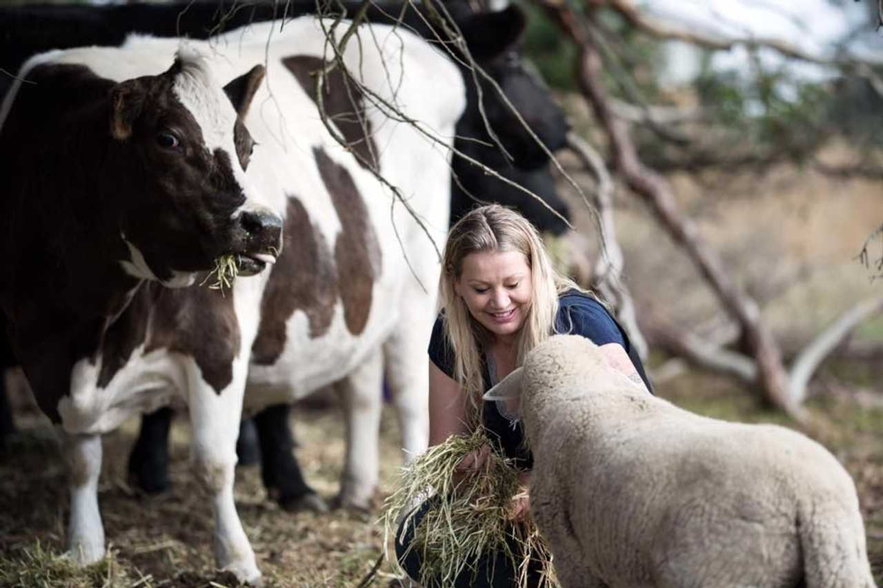 Galahad's Animal Sanctuary B&B