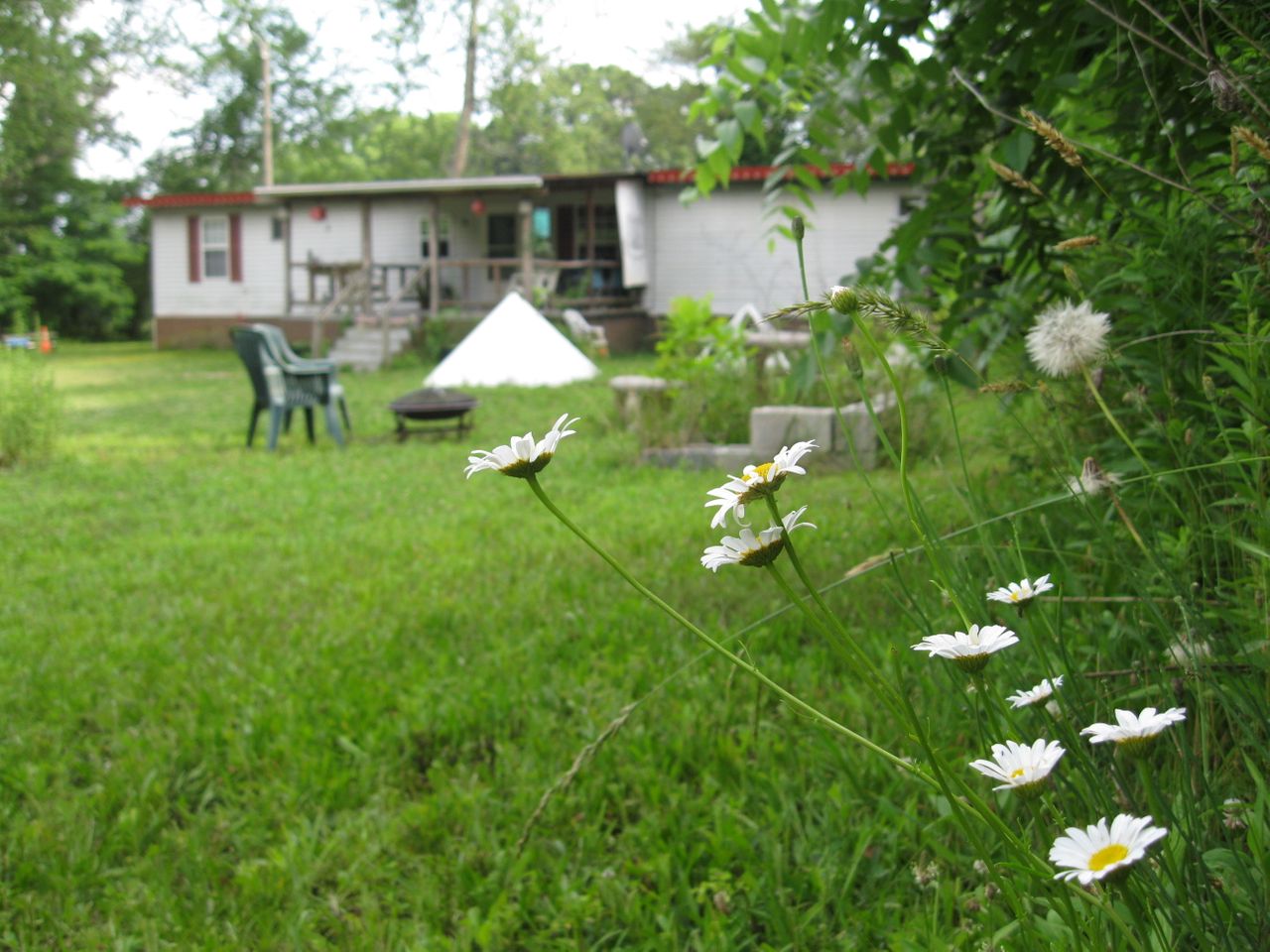 Happy Haven ~ Eco Artist Sanctuary
