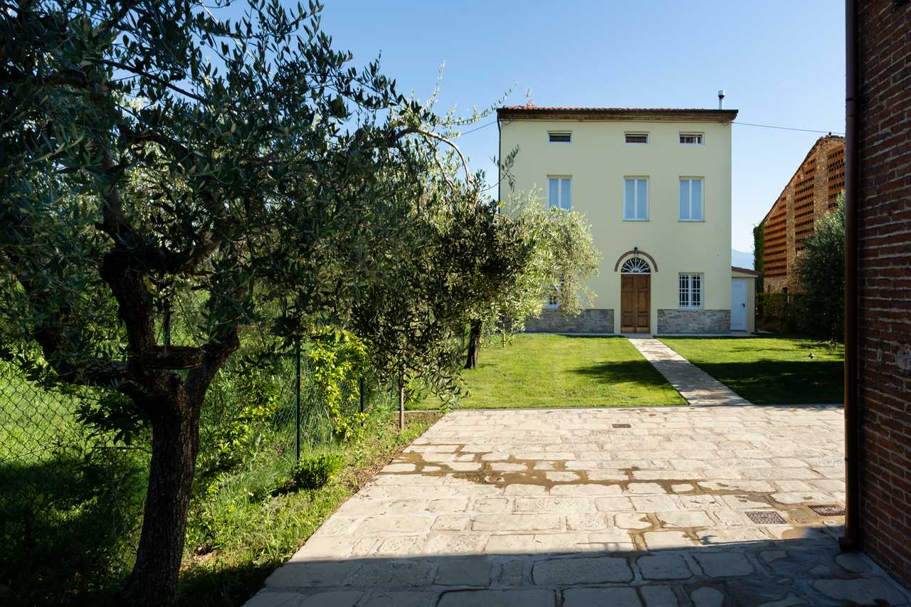 Il Sicomoro di Villa Galgani