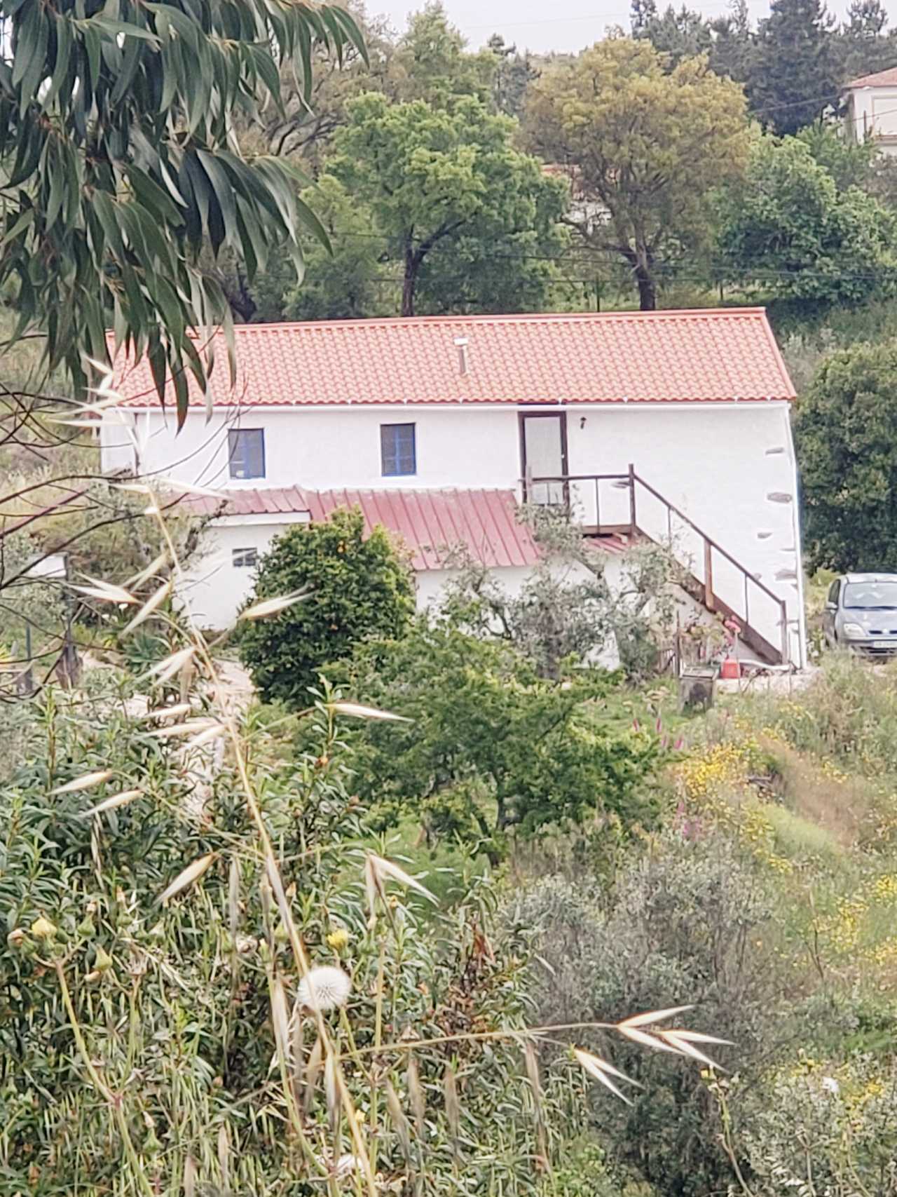 Casa Hortênsia, a vegan heaven in Central Portugal