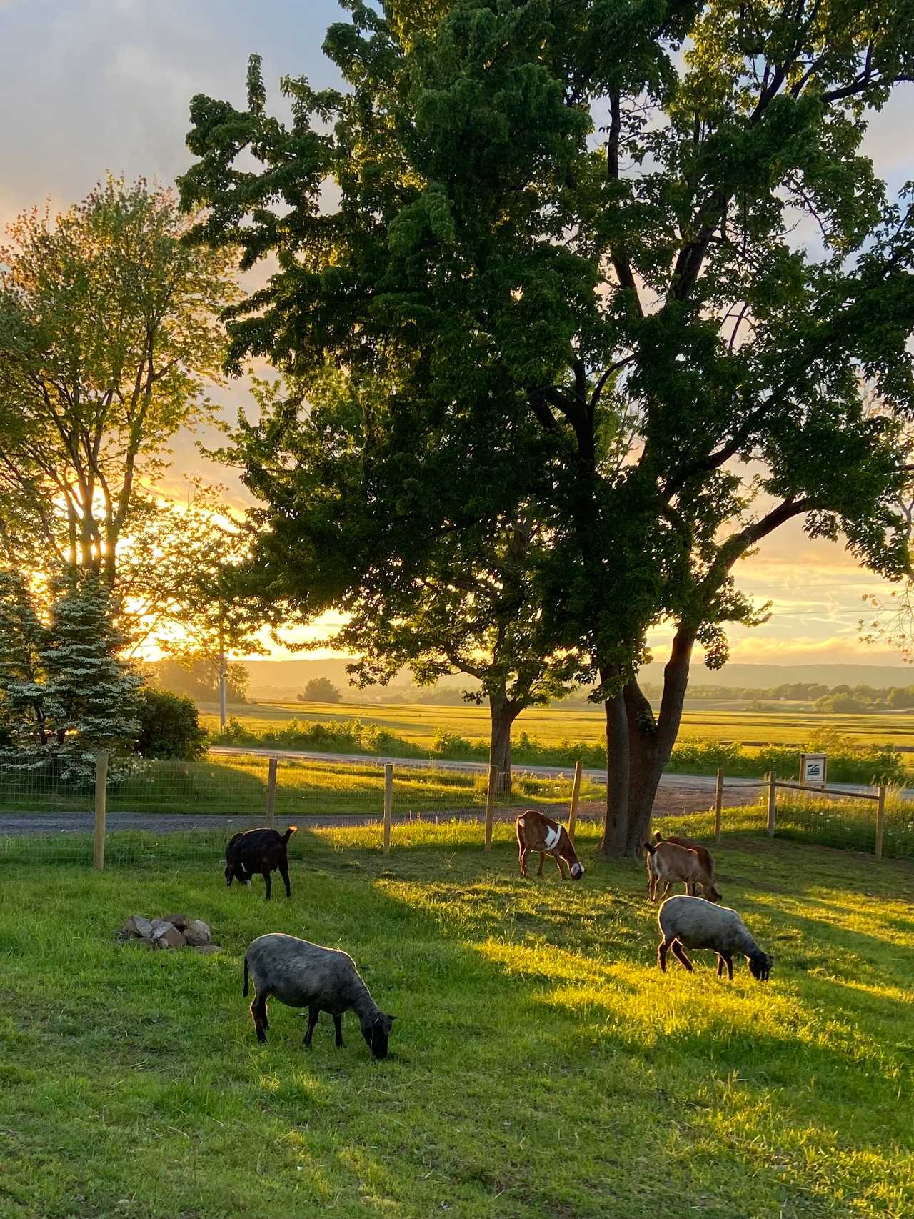 Farm Sanctuary Guest Apartment