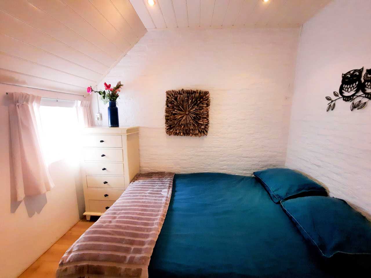Lovely dog friendly cottage, in forest surrounding for wonderful walks & swims